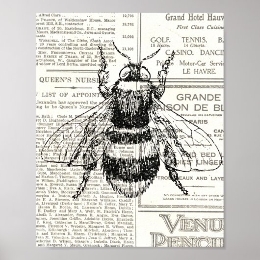 Vintag Retro Bee Newsprint Schwarz und Weiß Poster (Vorne)