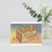 Vintag Retro Florida Orange Postkarte (Stehend Vorderseite)