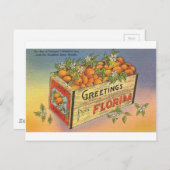 Vintag Retro Florida Orange Postkarte (Vorne/Hinten)