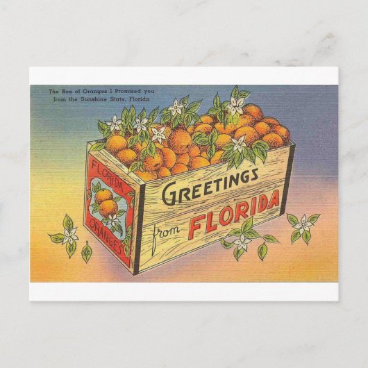 Vintag Retro Florida Orange Postkarte (Vorderseite)