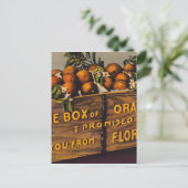 Vintag Retro Florida Orange Postkarte (Stehend Vorderseite)