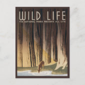 Vintag Retro Grand Wild Life Nationalpark Postkarte (Vorderseite)