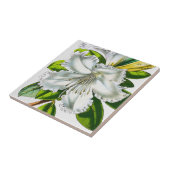 Vintag Rhododendron Botanisch Fliese (Seite)