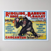 Vintag Ringling Bros. Poster (Vorne)
