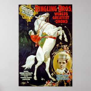 Vintag Ringling Bros. Weißes Horst-Poster Poster