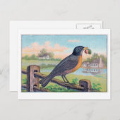 Vintag Robin Birthday Postcard Postkarte (Vorne/Hinten)