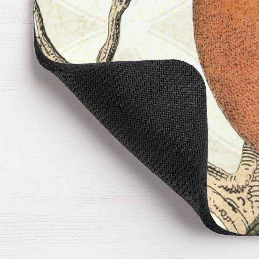 Vintag Robin Mousepad (Ecke)