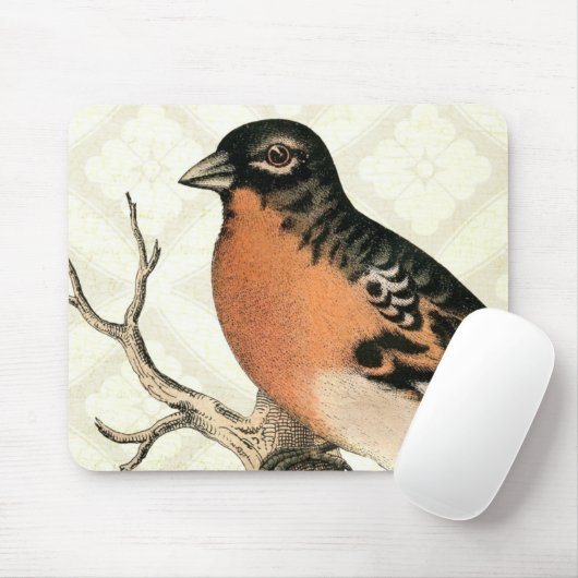 Vintag Robin Mousepad (Mit Mouse)
