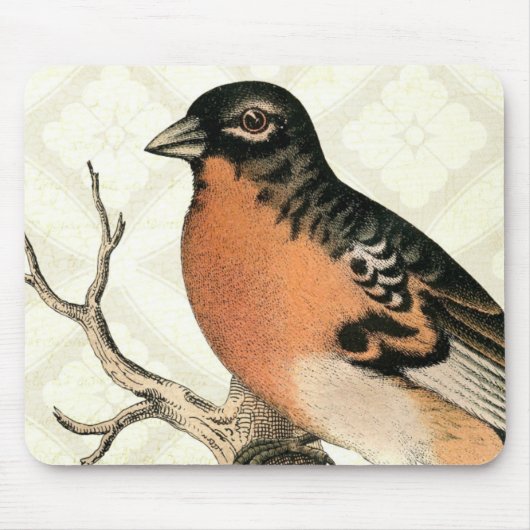 Vintag Robin Mousepad (Vorne)