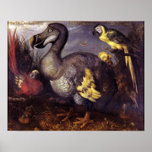 Vintag Roelant Savery Saverys Dodo Poster (Vorne)