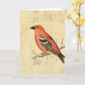 Vintag rosa Bird Karte (Gelbe Blume)