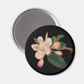 Vintag rosa Blossom Magnet (Vorderseite/Rückseite)