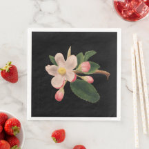 Vintag rosa Blossom