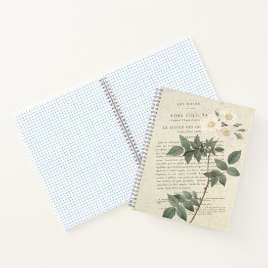 Vintag Rosa Collina Notizblock (Innenseite)