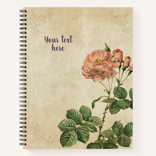 Vintag Rosa Damascena Aurora Notebook Notizblock (Vorderseite)