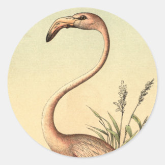 Vintag-rosa-Flamingo-Illustration Runder Aufkleber