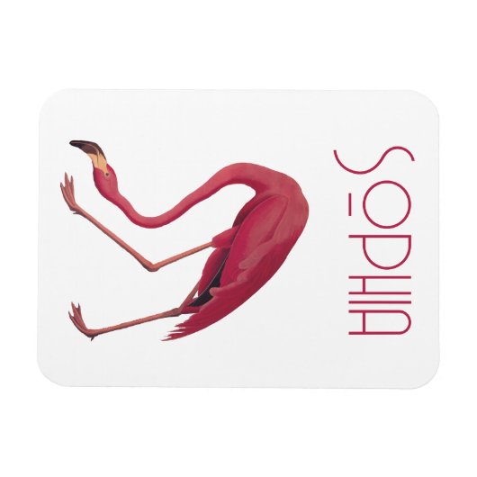 Vintag rosa Flamingo Magnet (Horizontal)