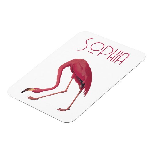 Vintag rosa Flamingo Magnet (Linke Seite)