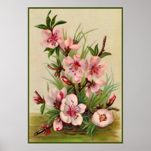 Vintag rosa Floral Poster