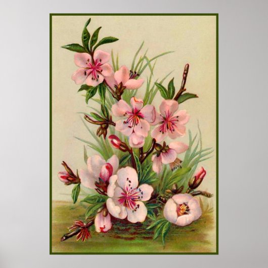 Vintag rosa Floral Poster (Vorne)