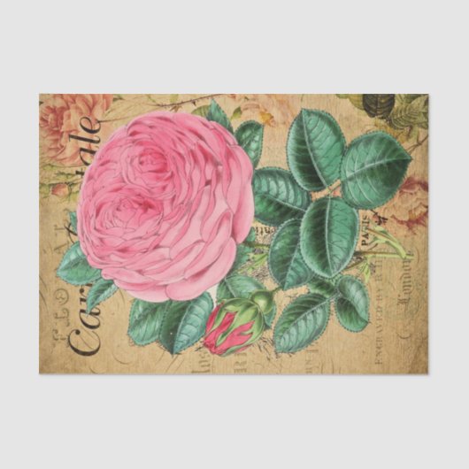 Vintag rosa Rose Blume Decoupage Craft Seidenpapier (Vorderseite)