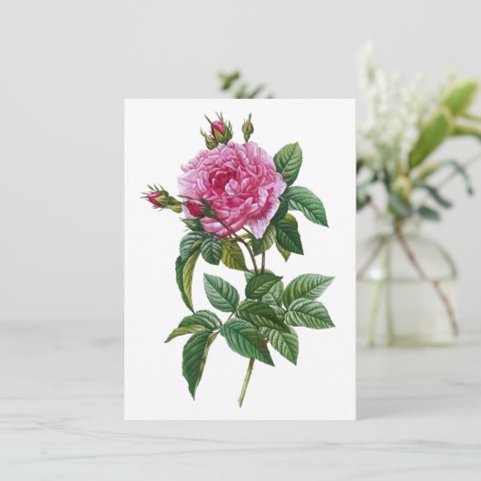 Vintag Rosa Rose Karte (Stehend Vorderseite)