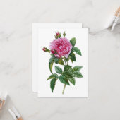 Vintag Rosa Rose Karte (Vorderseite/Rückseite Beispiel)