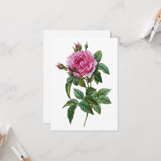 Vintag Rosa Rose Karte (Vorderseite/Rückseite Beispiel)