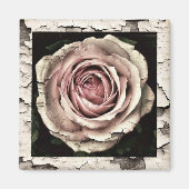 Vintag Rosa Rose Magnet (Vorne)