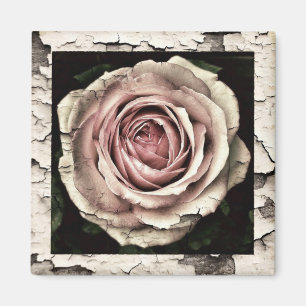 Vintag Rosa Rose Magnet