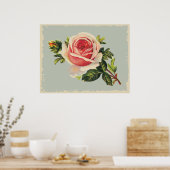 Vintag Rosa Rose Poster (Küche)