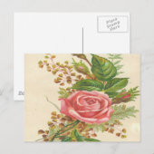 Vintag Rosa Rose Postkarte (Vorne/Hinten)
