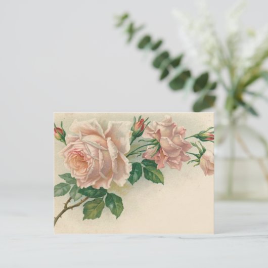 Vintag Rosa Rose Postkarte (Stehend Vorderseite)