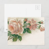 Vintag Rosa Rose Postkarte (Vorne/Hinten)