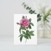 Vintag Rosa Rose Postkarte (Stehend Vorderseite)