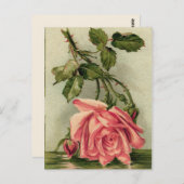 Vintag Rosa Rose Postkarte (Vorne/Hinten)