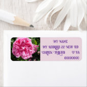 Vintag Rosa Rose Rose Foto Rücksendeadressen-Aufkl (Insitu)