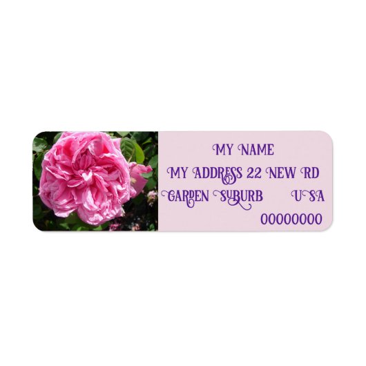 Vintag Rosa Rose Rose Foto Rücksendeadressen-Aufkl (Vorne)