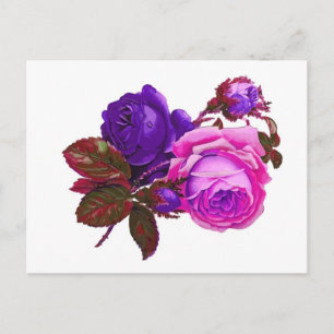 Vintag rosa Rosen - Geschenke Postkarte