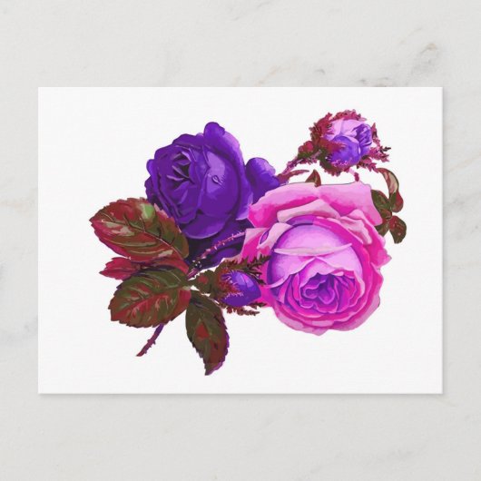 Vintag rosa Rosen - Geschenke Postkarte (Vorderseite)