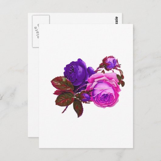 Vintag rosa Rosen - Geschenke Postkarte (Vorne/Hinten)