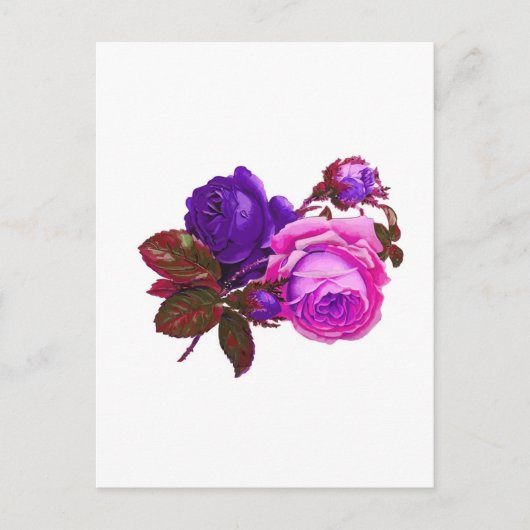 Vintag rosa Rosen - Geschenke Postkarte (Vorderseite)