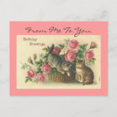 Vintag rosa Rosen/Katzen Geburtstag - Postkarte (Vorderseite)