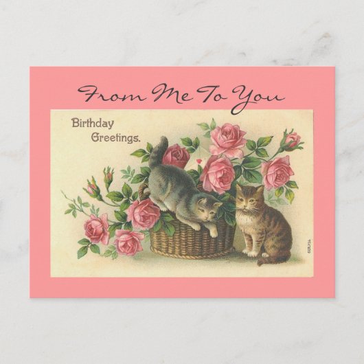 Vintag rosa Rosen/Katzen Geburtstag - Postkarte (Vorderseite)