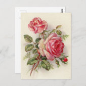 Vintag rosa Rosen niedliche Postkarte (Vorne/Hinten)