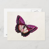Vintag rosa Roter Schmetterling 1896 Blank Templat Postkarte (Vorne/Hinten)