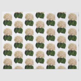 Vintag-Rosa-Weiß-Hydrangea-Blume #2 Seidenpapier