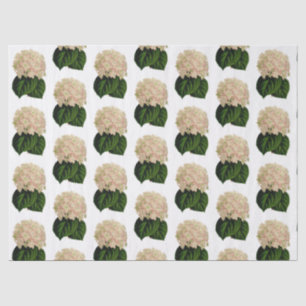 Vintag-Rosa-Weiß-Hydrangea-Blume #2 Seidenpapier
