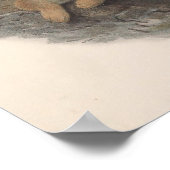 Vintag Rough Bussard Bird Poster (Ecke)