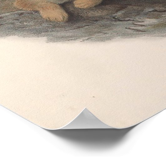 Vintag Rough Bussard Bird Poster (Ecke)